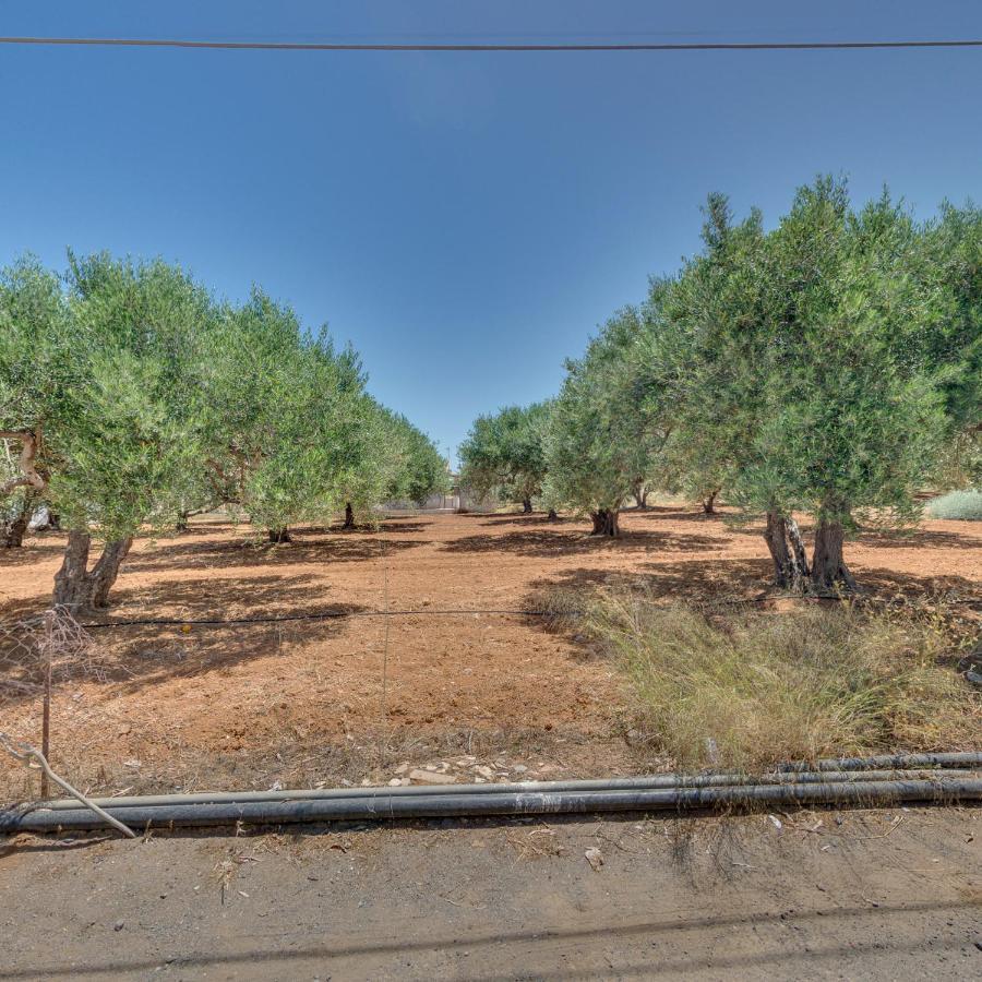 Kato Gouves Valentina Apartments מראה חיצוני תמונה